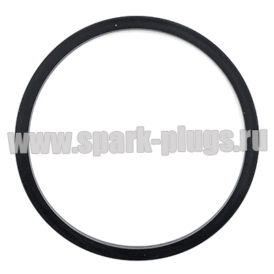 Уплотнительное кольцо